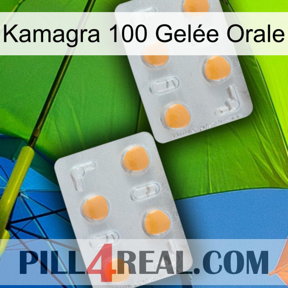 Kamagra 100 Gelée Orale 25.jpg